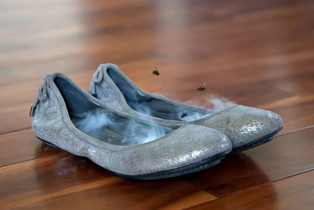 Deodorize Stinky Shoes with These Superb Tips ...