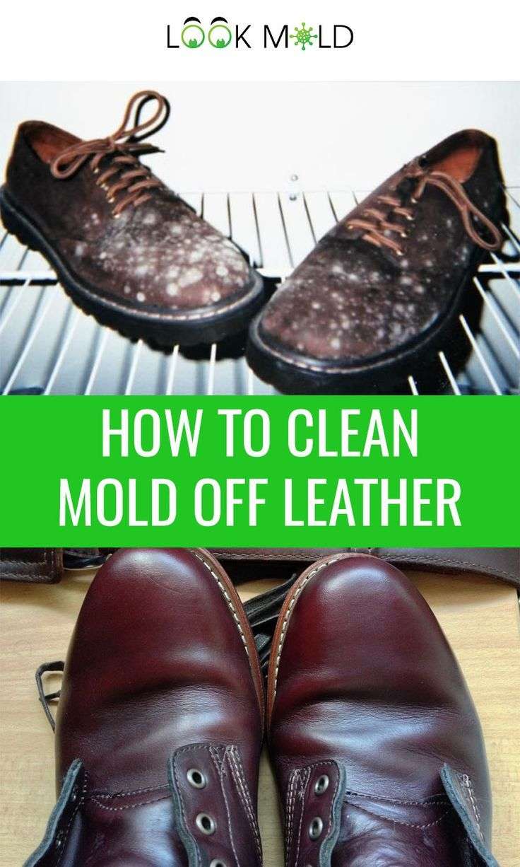 How To Clean Mold Off Shoes - LoveShoesClub.com