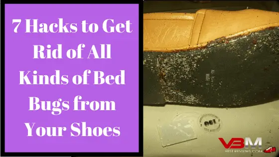 How to Get Rid of Bed Bugs in Your Shoes