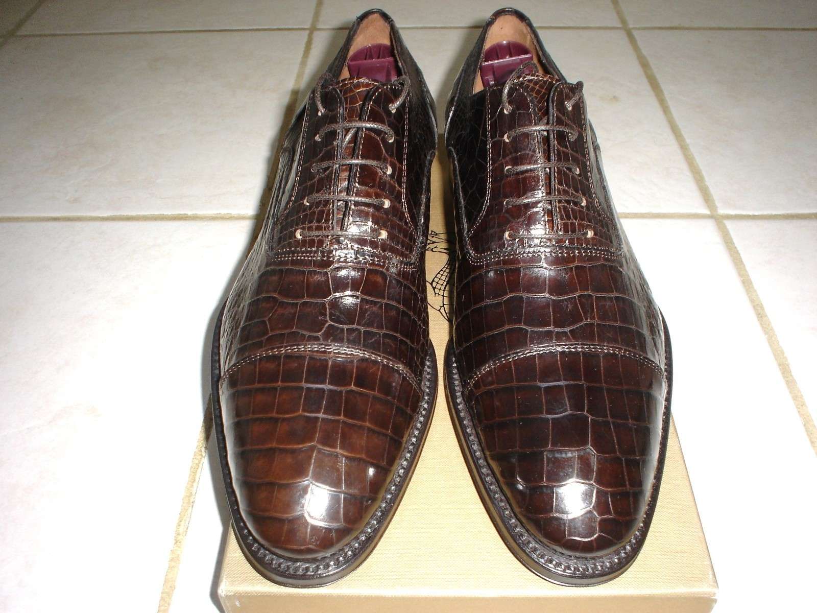 Incredible,Classy, BRAND NEW, CAPORICCI Brown Alligator Skin Shoe