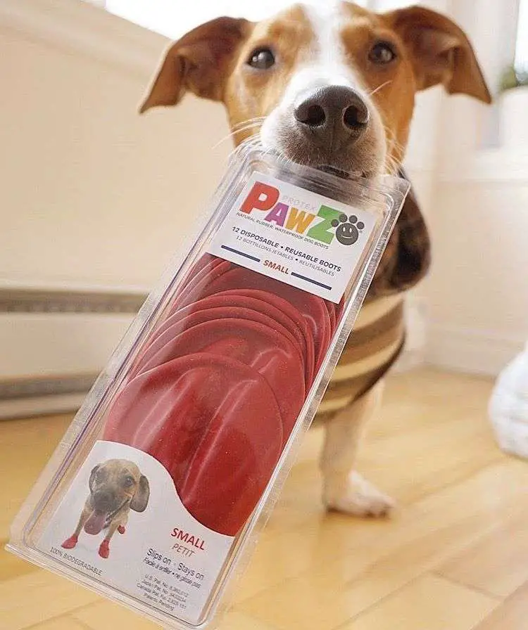 Keep those floors clean with the help of Pawz Dog Boots! # ...