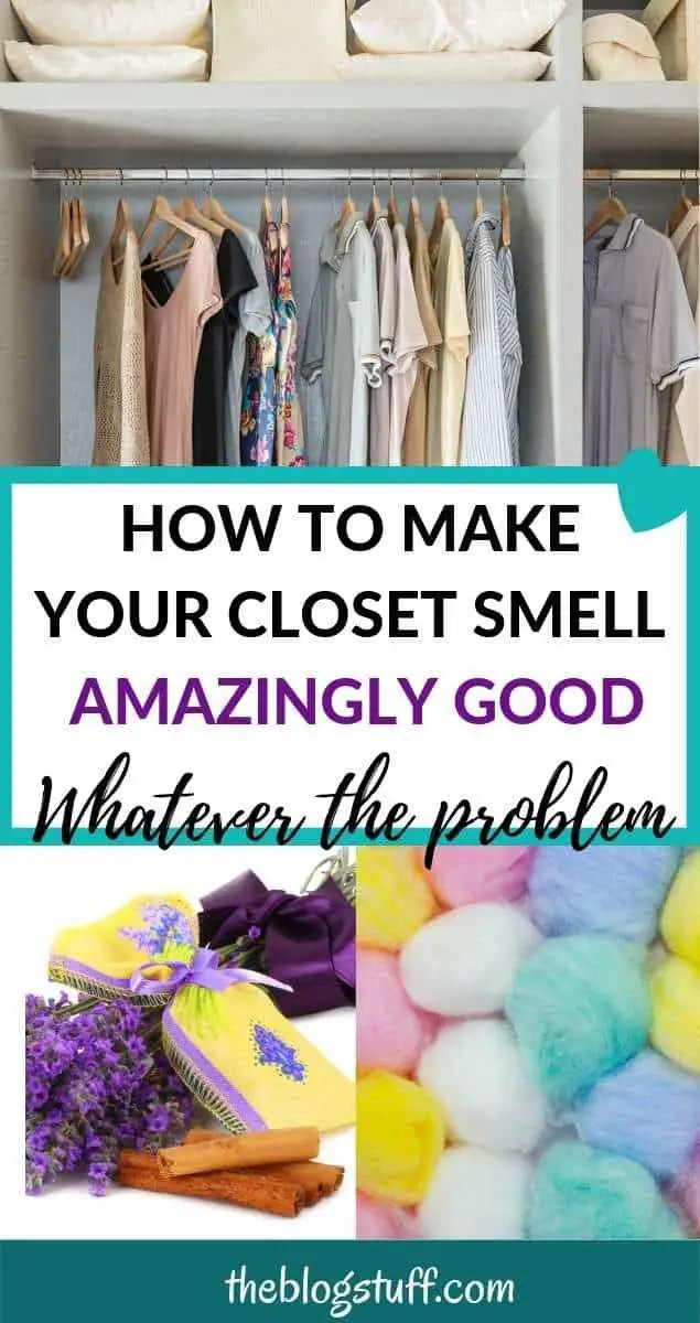 Learn how to get rid of closet smell with these brilliant ...