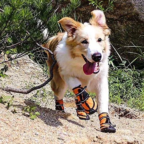 QBLEEV Pet Shoes Boots Dog Booties Waterproof Breathable Paw