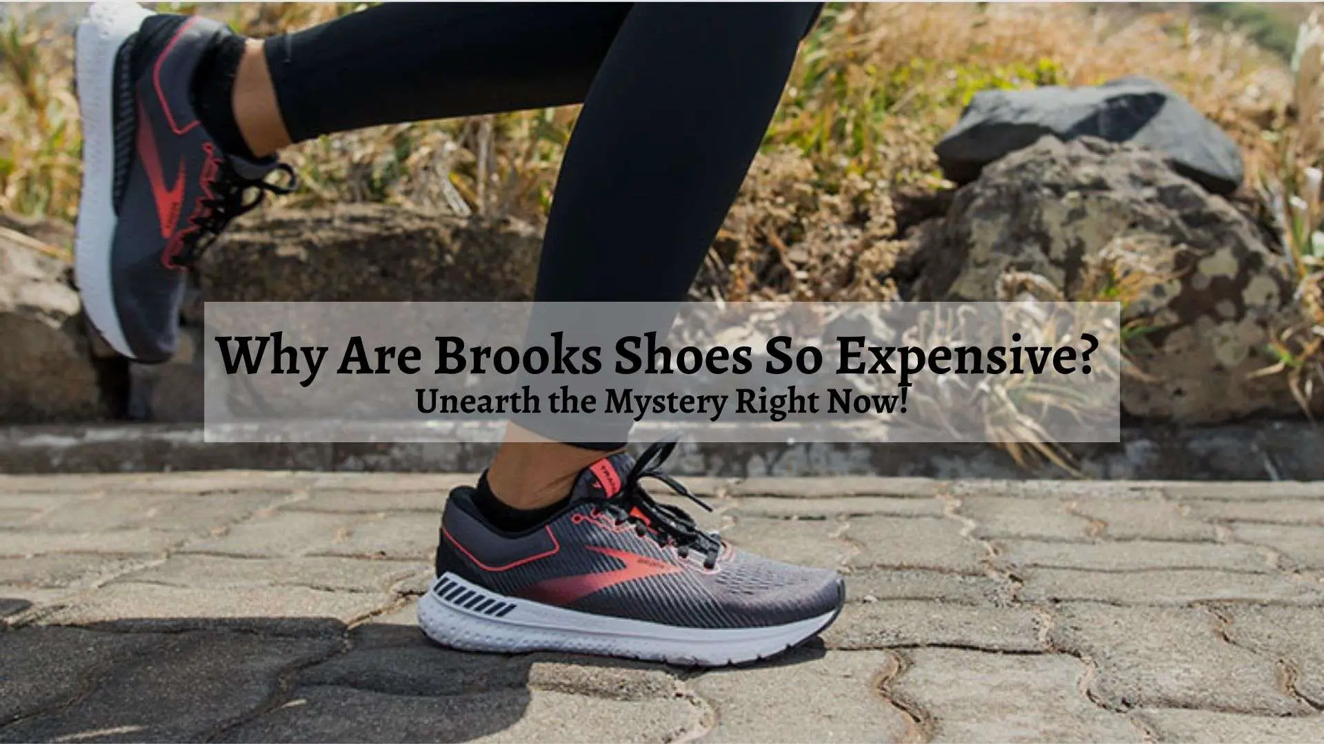 Why Are Brooks Shoes So Expensive? Unearth the Mystery ...